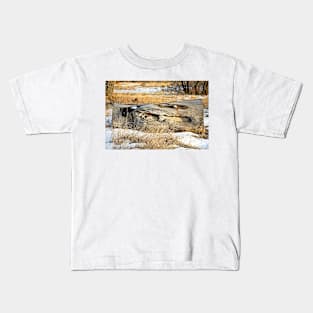 Cherry Creek Winter Study 3 Kids T-Shirt